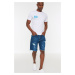 Trendyol Indigo Men's Regular Fit Denim Shorts