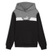 Puma  POWER COLORBLOCK HOODIE TR  Mikiny Čierna