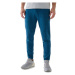 Pánske tepláky 4F TROUSERS-WAW24TTROM0784-46S-TEAL