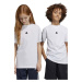 Detské bavlnené tričko adidas U FI 3S biela farba, s nášivkou