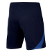 Nike NK DF Strike 22 Short K M DH8776 451 Šortky