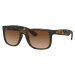 Ray-Ban RB4165 710/13 - (55-16-145)