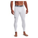 Men's winter compression leggings Under Armour CG Armour Leggings