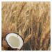 Šampón na lámavé vlasy a rozštiepené končeky Pšenica a kokosové mlieko Aroma 400 ml