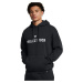 Under Armour Project Rock Icon Fleece Hoodie M 1386882-001