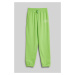 TEPLÁKY GANT ORIGINAL SPORTSWEAR SWEATPANTS SLIME GREEN