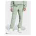 Adidas Teplákové nohavice IR8361 Zelená Regular Fit