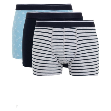 DEFACTO Regular Fit 3-pack Boxer