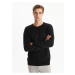 LC Waikiki LCW Crew Neck Long Sleeve Men's Knitwear Sweater