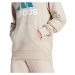 Mikina adidas Essentials French Terry Big Logo Hoodie M IJ8584