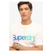 Superdry Tričko  modrá / vodová / biela