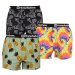 3PACK Mens Shorts Horsefeathers Frazier