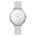 Pierre Cardin Watch