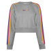 Champion Rainbow Tape Crew Sweater