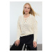 Trendyol Ecru Wide Pattern Lace Detailed Openwork/Perforated Knitwear Sweater