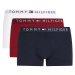 Tommy Hilfiger Underwear Boxerky  rubínová / čierna / šedobiela