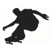 TEMPISH Nálepka silueta skateboard