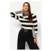 Trendyol Black Striped Turtleneck Knitwear Sweater