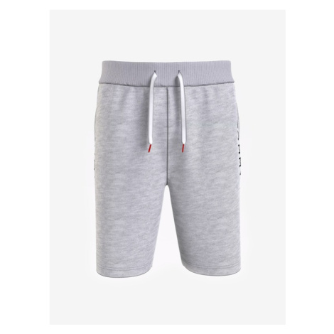 Pánske športové kraťasy a šortky Tommy Hilfiger