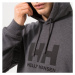 Helly Hansen Mikina Kapucňou Hh Logo Hoodie