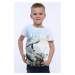 Boy's T-shirt with dinosaur