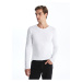 LC Waikiki Crew Neck Long Sleeve Men's T-Shirt