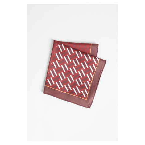 ALTINYILDIZ CLASSICS Men's Claret Red-Red Patterned Handkerchief