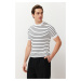 Trendyol White Slim-Tight Fit Cotton Crew Neck Striped Knitwear T-Shirt