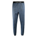 Pánské jogger kalhoty modrá bluekaro model 17069630 - Calvin Klein