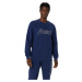 Asics Sweatshirt M 2031E192402