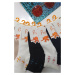 Dámske ponožky PRO 20802 MIX směs barev