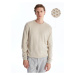 LC Waikiki Crew Neck Long Sleeve Men's Knitwear Sweater