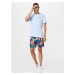 Hurley Surferské šortky 'PHANTOM'  modrá / zelená / červená / biela
