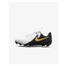 Nike Jr. Phantom GX 2 Academy Younger