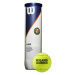 Tenisové loptičky Wilson Roland Garros All Court