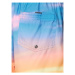 Quiksilver Plavecké šortky Everyday Fade Volley AQYJV03134 Farebná Regular Fit