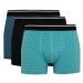 DEFACTO Regular Fit 3-Piece Boxer