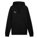 Puma Team Goal Casuals Hoody M 658618 03