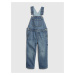 GAP Kids jeans overall - Boys