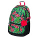 BAAGL CORE BACKPACK Školský batoh, zelená, veľkosť