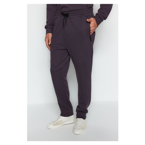 Trendyol Limited Edition Anthracite Regular/Normal Cut Zipper Pocket Thick Sweatpants