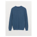 LC Waikiki Crew Neck Long Sleeve Men's Knitwear Sweater