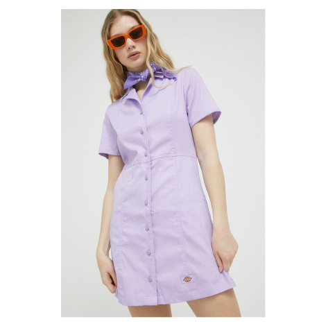 Šaty Dickies fialová farba, mini, áčkový strih