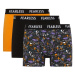 DEFACTO Regular Fit 3-Piece Boxer