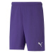 Puma teamRise Short Prist M 704942 10