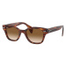 Ray-Ban RB0880S 954/51 - L (52)