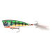 Daiwa wobler steez popper 60f matt gill 6 cm 7,6 g