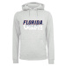 Men's sweatshirt Florida Gators Logo Hoodie gray