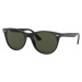 Ray-Ban RB2185 901/31 - M (55-18-145)