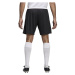 adidas CORE18 TR SHO Futbalové šortky, čierna, veľkosť